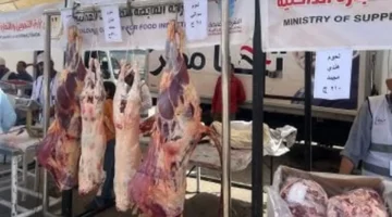 أسعار اللحوم في أسواق البحيرة الثلاثاء 9 ديسمبر: الكندوز بـ390 جنيه